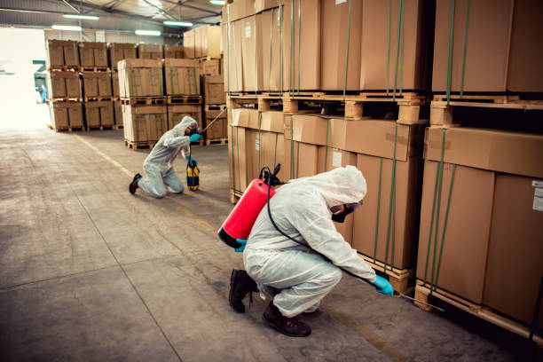 Wildlife Control Services in Winter Gardens, CA