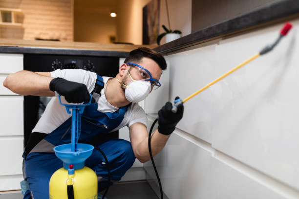 Pest Prevention Services in Winter Gardens, CA