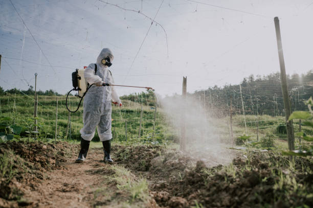 Best Pest Prevention Services  in Winter Gardens, CA