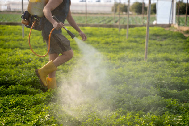 Reliable Winter Gardens, CA Pest Control Solutions