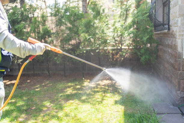 Reliable Winter Gardens, CA Pest Control Solutions