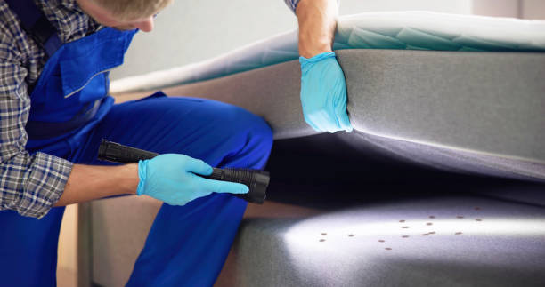 Best Termite Control Services  in Winter Gardens, CA